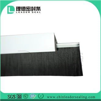 Xkupilja tal-Qiegħ tal-Bieb tal-Wajer tal-PP