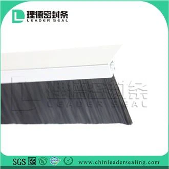 Siġill tal-qiegħ tal-bieb ta 'barra